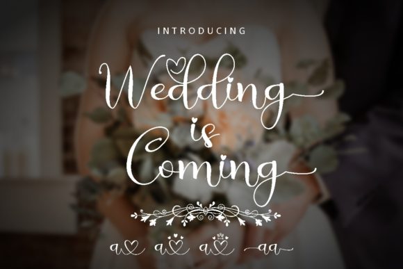 Designing with Wedding is Coming: A Playful Script Font for Web