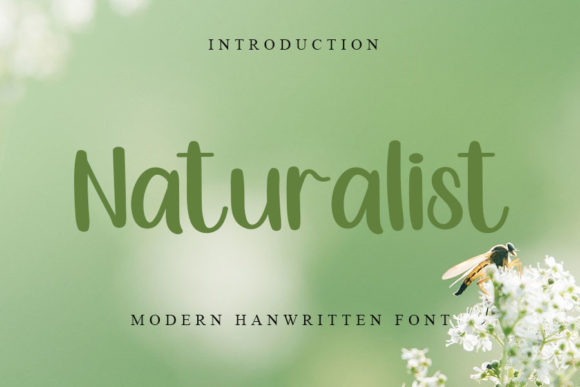 Naturalist: The Perfect Script Font for Handmade Brands