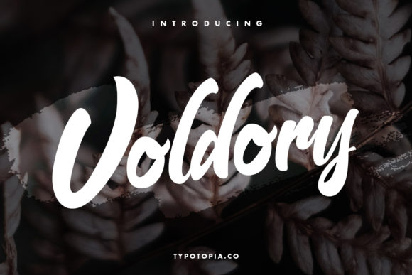 Voldory Font Review: A Chic Script for Modern Design